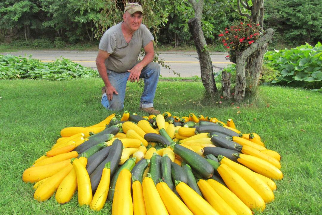 Man Grows Food on Traffic Island, Has Donated 20,000 Pounds of Produce to People in Need