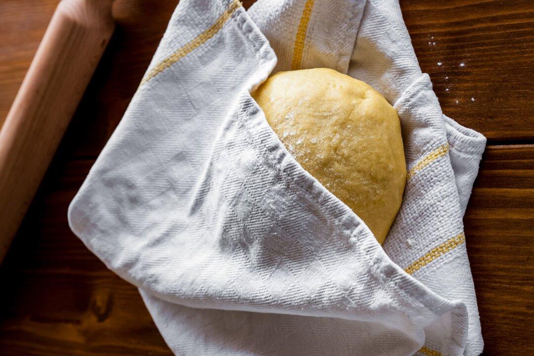 Fresh Pasta Dough