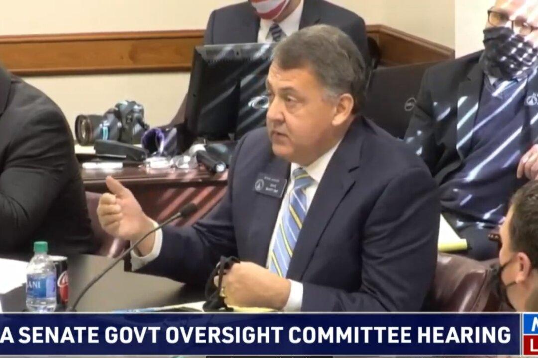Georgia State GOP Senators Stress Need for Ballot Signature Audit