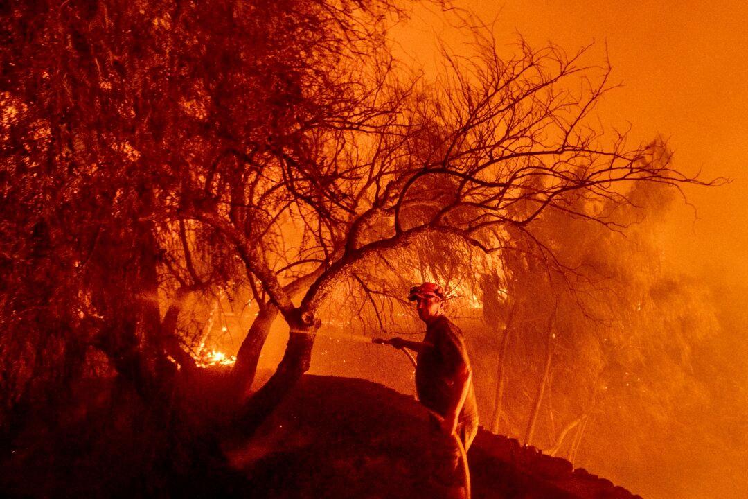 Mismanagement Contributes to Longer Fire Seasons, Researchers Say