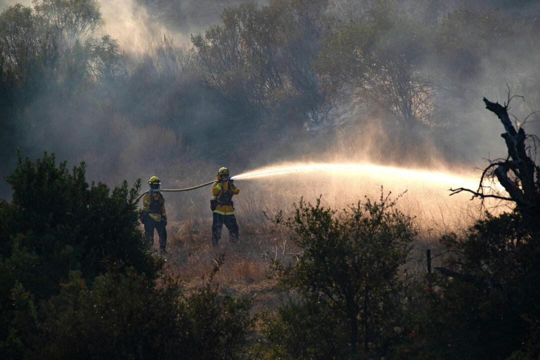OC Firefighters Battle Rapidly Growing Wildfire in Silverado Canyon