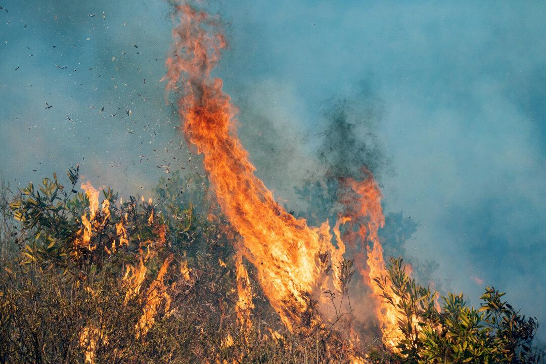 Santa Ana Winds, Red Flag Warning Return to Orange County