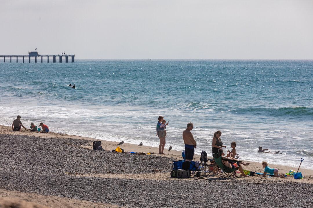 Discarded Masks, Gloves Significant Source of Beach Pollution: Report