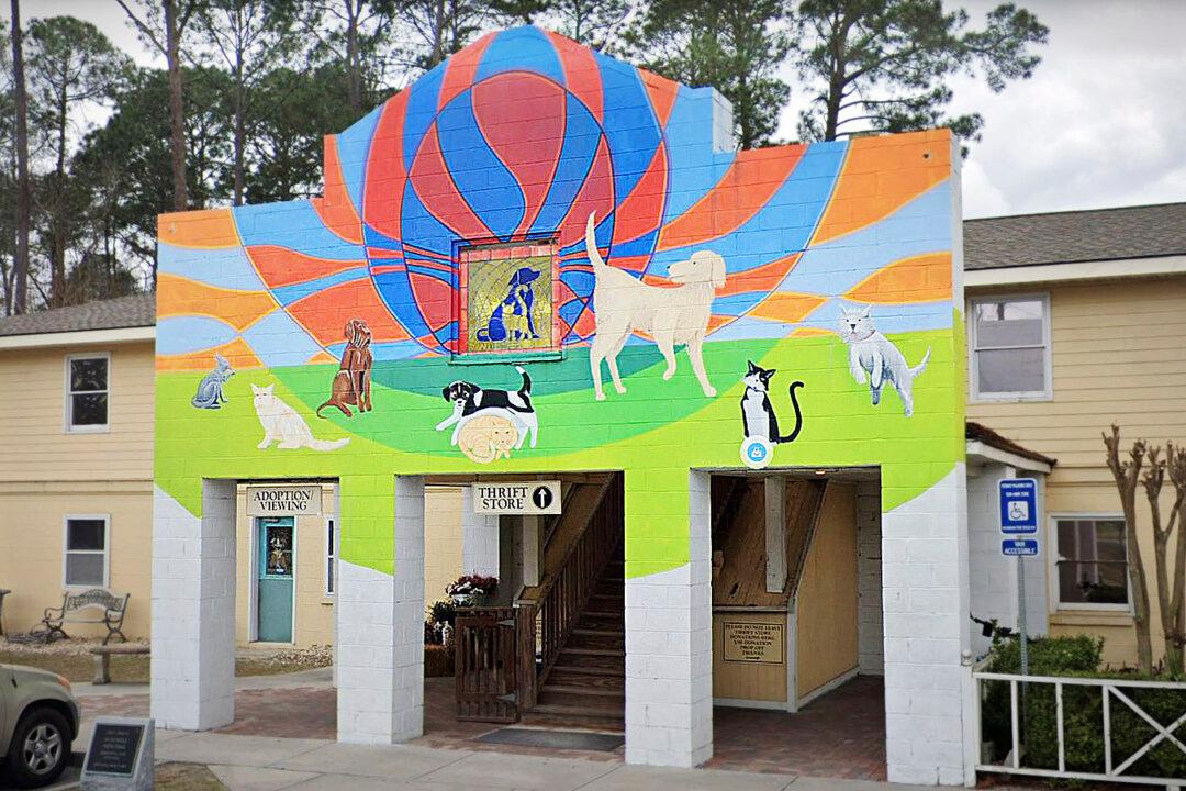 Georgia Animal Shelter Celebrates Silent Kennel After Every Dog Adopted for First Time