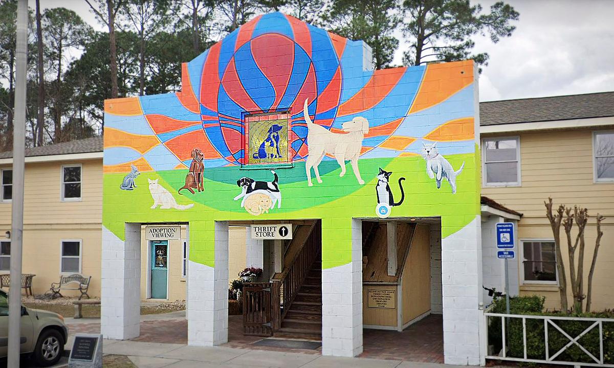 Georgia Animal Shelter Celebrates Silent Kennel After Every Dog Adopted for First Time