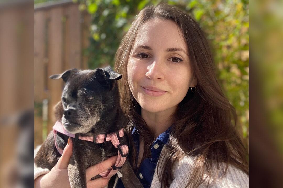 Senior Dog Dumped in Plastic Bag on Roadside Makes Recovery, Finds New Home