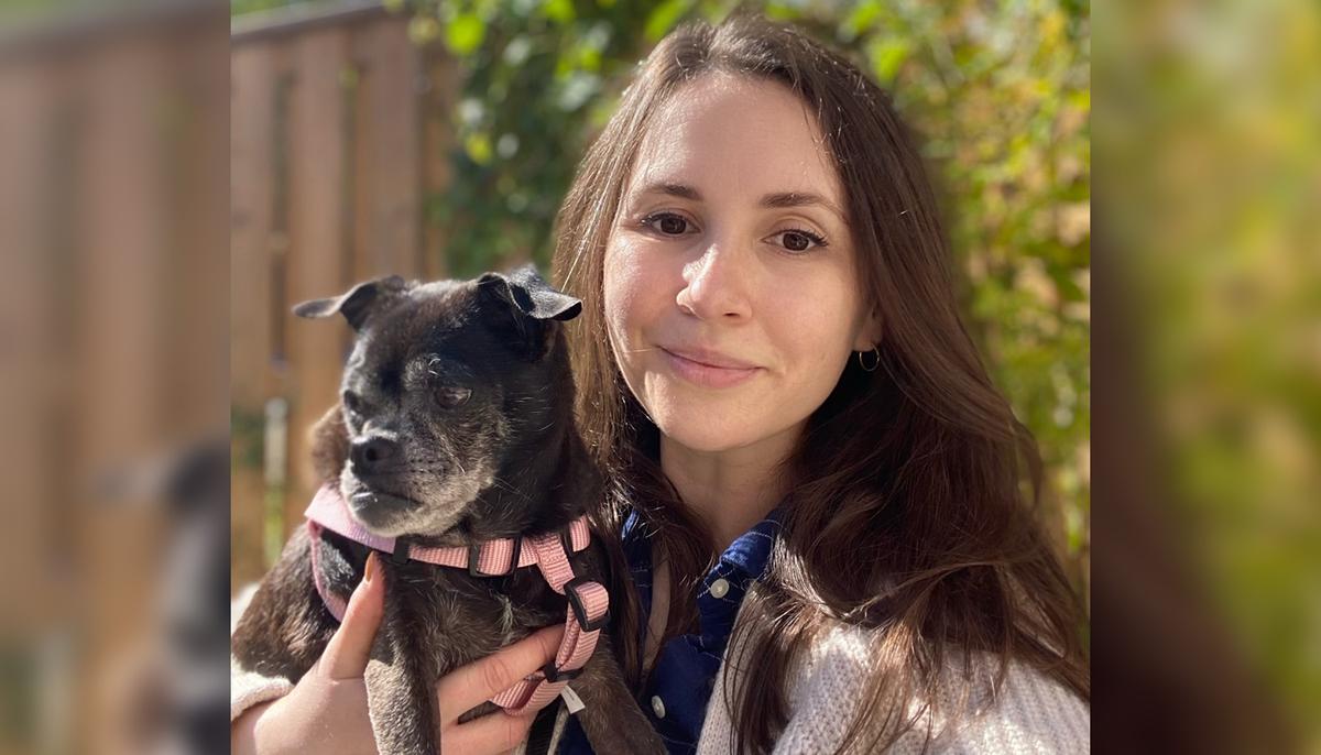 Senior Dog Dumped in Plastic Bag on Roadside Makes Recovery, Finds New Home