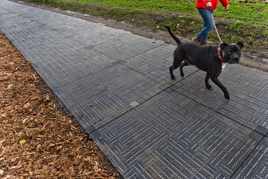 Mauling to Death of Pregnant Woman Exposes ‘Brutal Chic’