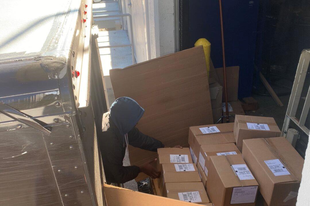 Georgia Elections-Supply Web Store Hosted on Canadian Platform