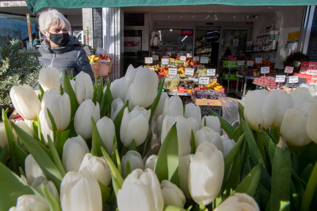 Most Canadians Feel Safer Shopping at Small Businesses Over Big Box Stores: Survey