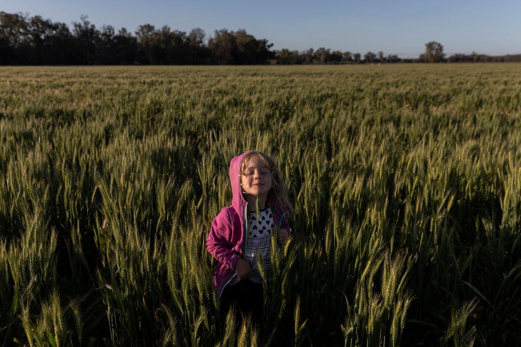 Agriculture Production to Fall but Sector Still Strong