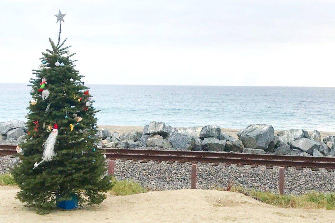 Missing Christmas Tree Saga Gets a Happy Ending