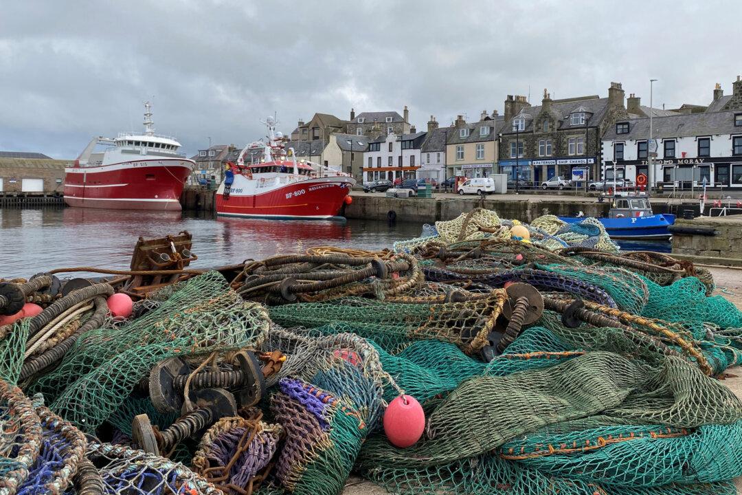 Scottish Fishermen Halt Exports Due to Brexit Red Tape, ‘It’s a Catastrophe’