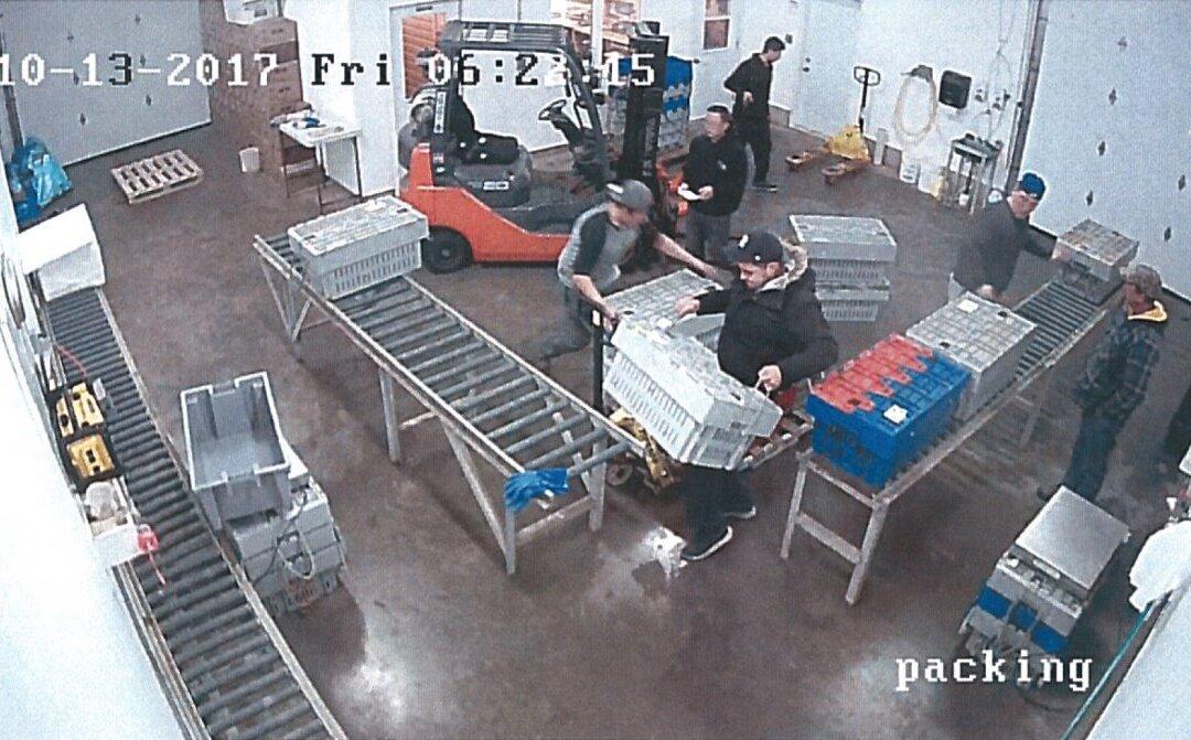 Nova Scotia Lobster Pound Owner Fined, Sanctioned for Buying Mi'kmaq Ceremonial Catch