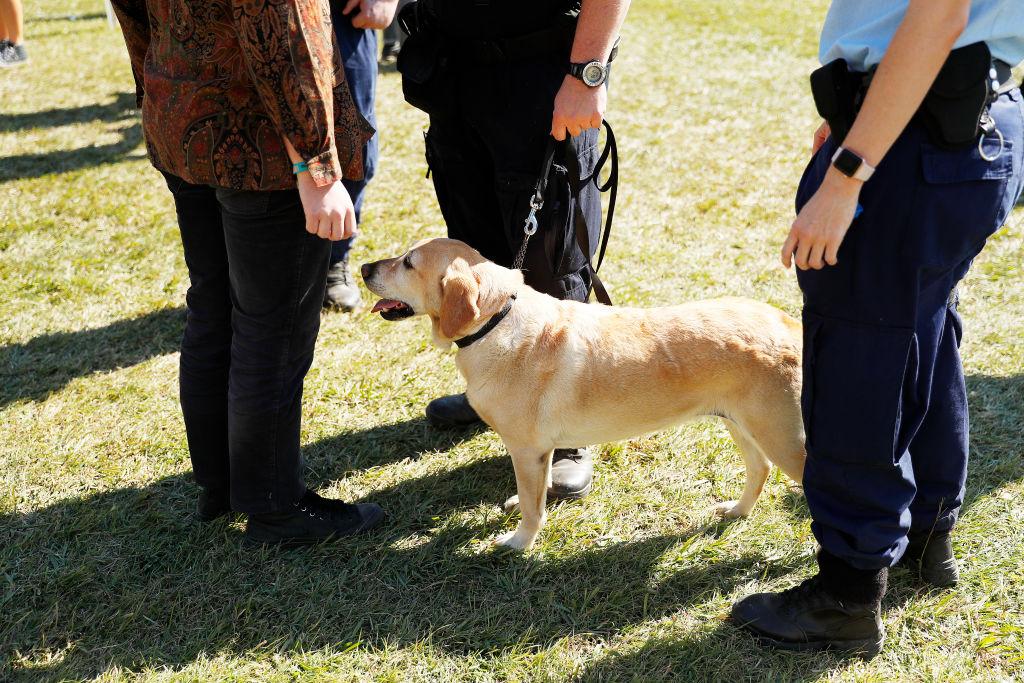 NSW Watchdog Delivers Strip-Search Report