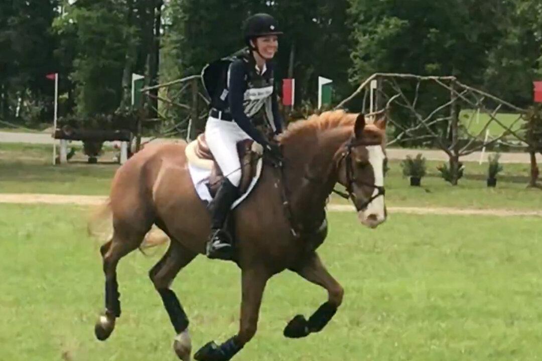Near-Death Horse Rescued From Suspected Meth Lab Is Now a National Competitor