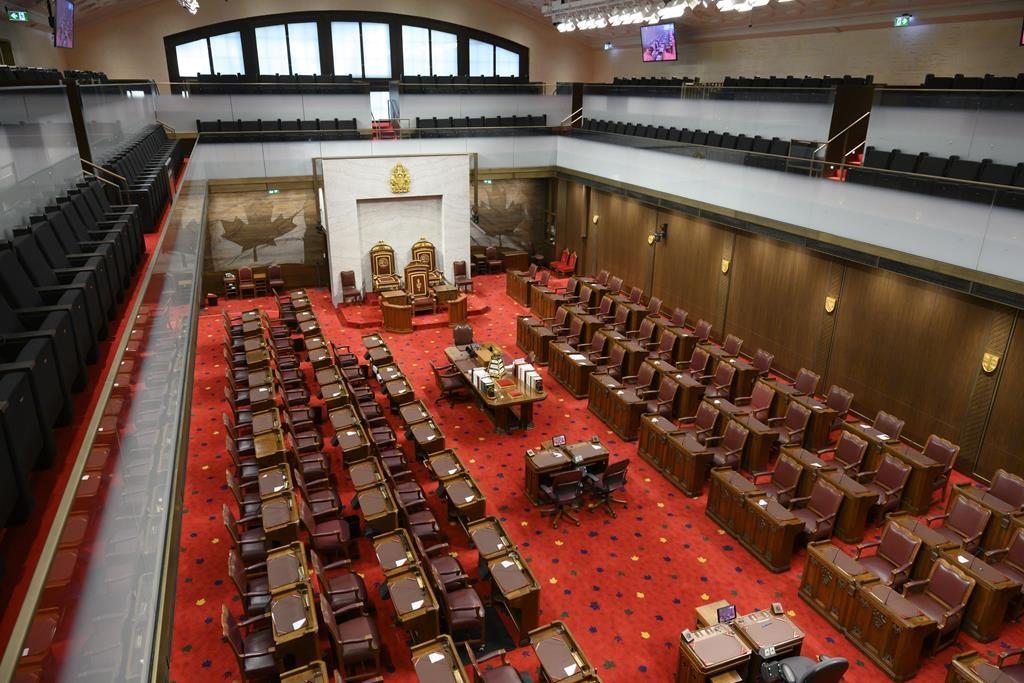Senate Passes Pandemic Relief Bill to Provide Support for Businesses and Workers