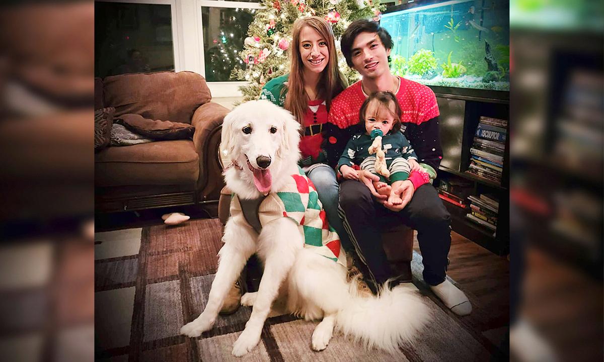 Puppy Acting Strange Sniffs Out Electrical Fire Behind the Wall, Saves Whole Family’s Lives