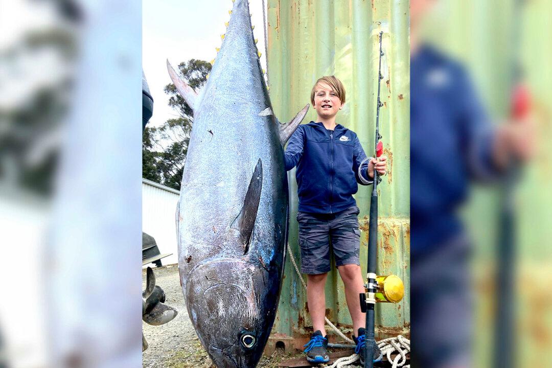 10-Year-Old Boy Snags Massive 200lb Tuna Off the Coast of Tasmania, Sets New Record