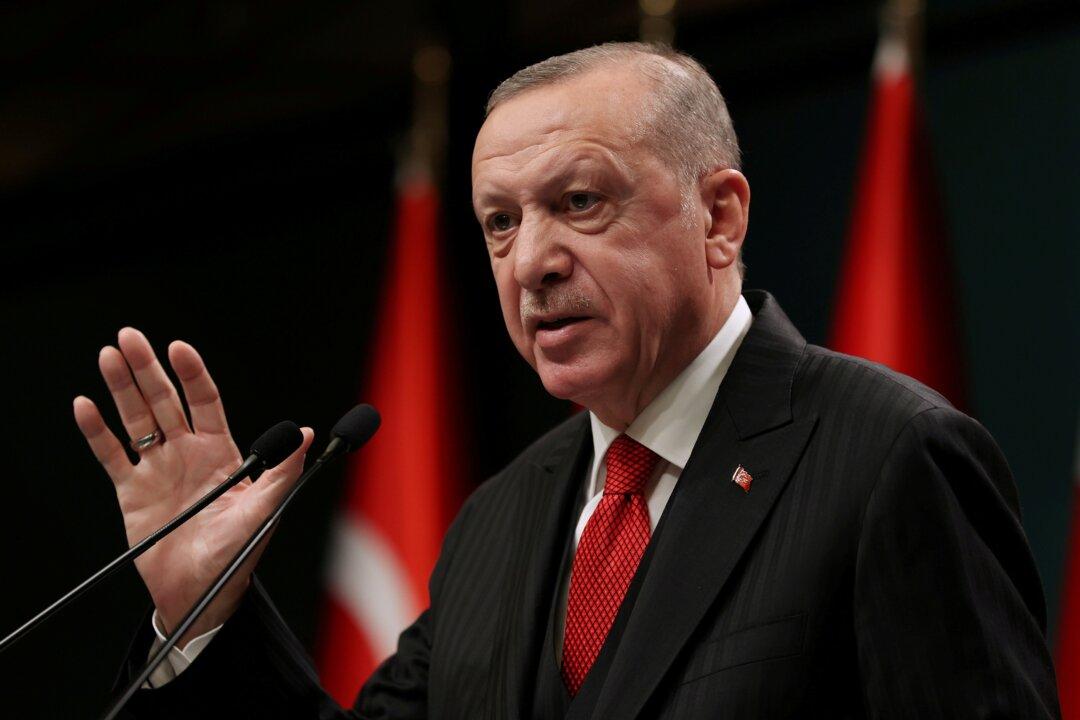 Turkish Parliament Approves Law That Critics Say Will Stifle NGOs