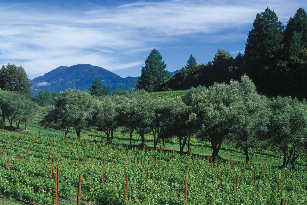 Wine Talk: A Schramsberg for the Ages