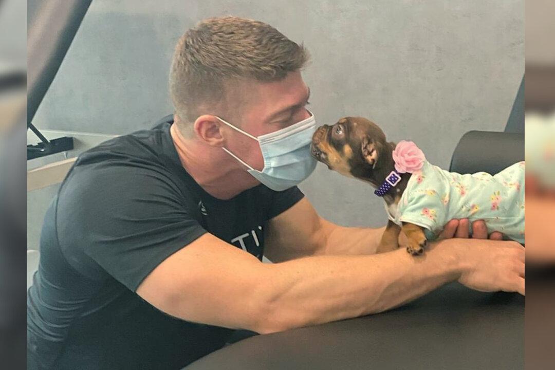 Paralyzed Puppy Nearly Starved to Death by Owners Finds Hope With Physical Therapist