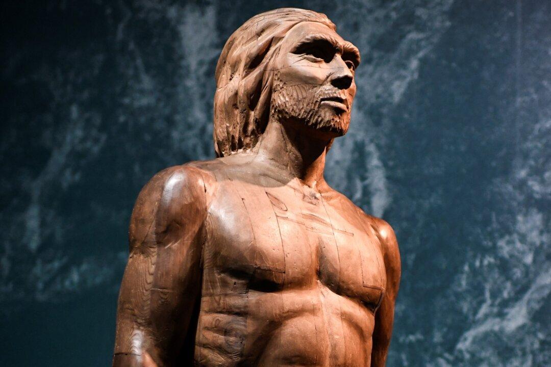 Ancient Migration Patterns Offer Explanation for Unequal Susceptibility to COVID-19