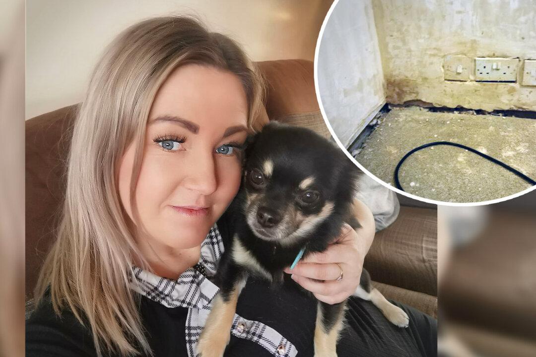Mom Posts Pics of Baby’s Room ‘Ruined’ by Local Builders–Then Plasterer Offers to Fix for Free