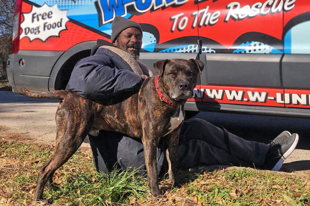 Homeless Man Risks Life to Save 6 Dogs, 10 Cats After Animal Shelter Catches Fire