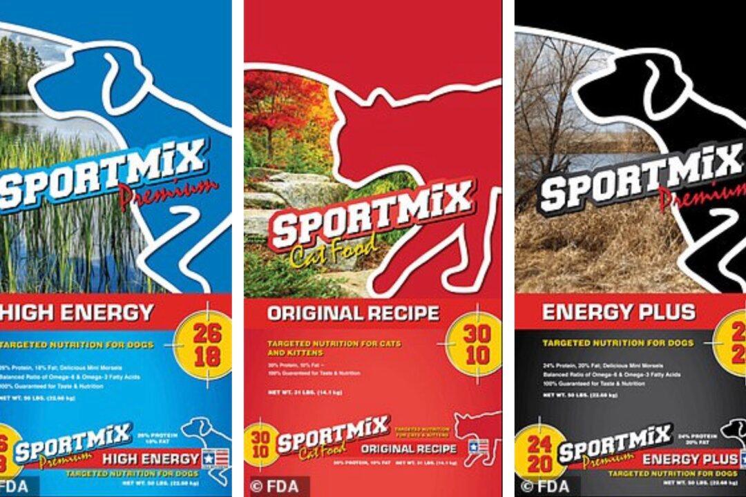 FDA Issues Pet Food Recall After 28 Dogs Die, Eight Sickened