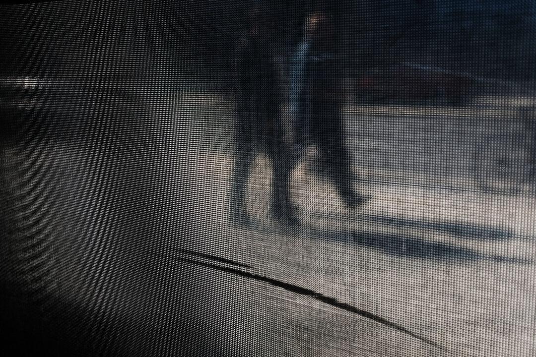 7 Charged With Felonies in Vandalism to Federal Buildings