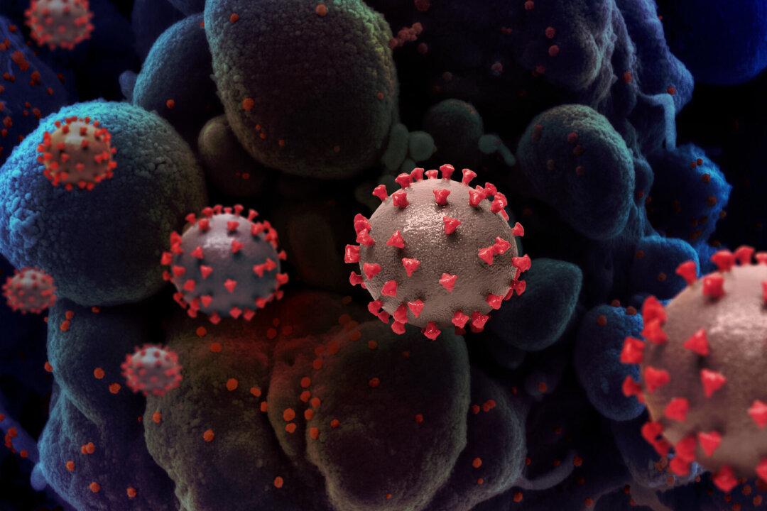 NY Assemblyman Defends Bill Permitting Detainment of Carriers of ‘Contagious Disease’