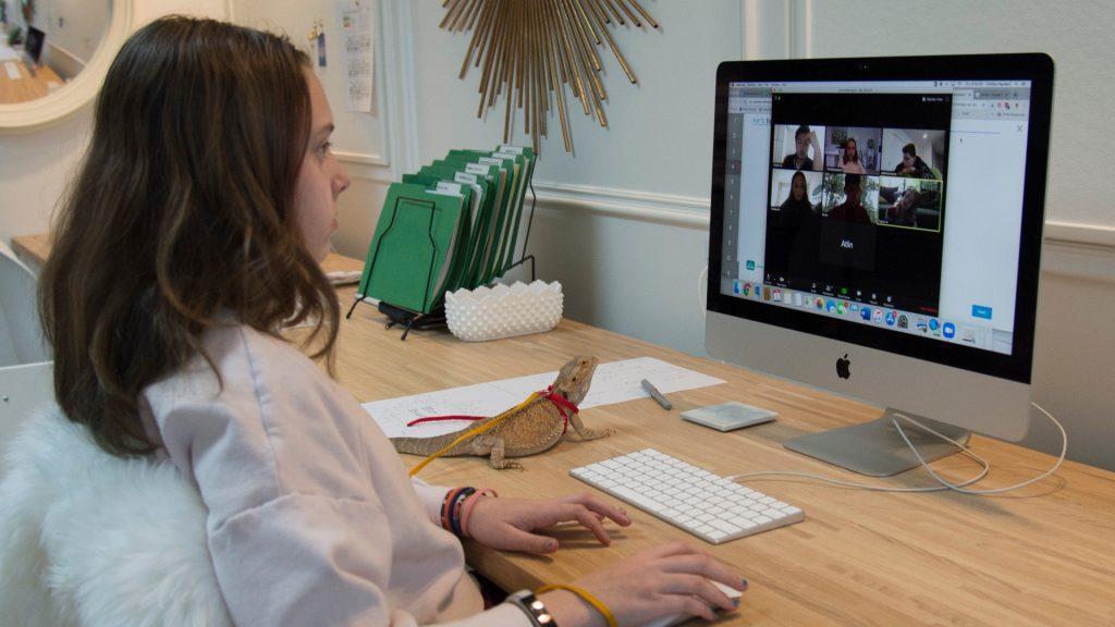 Ontario Students Return to Virtual School as Part of Lockdown Measures