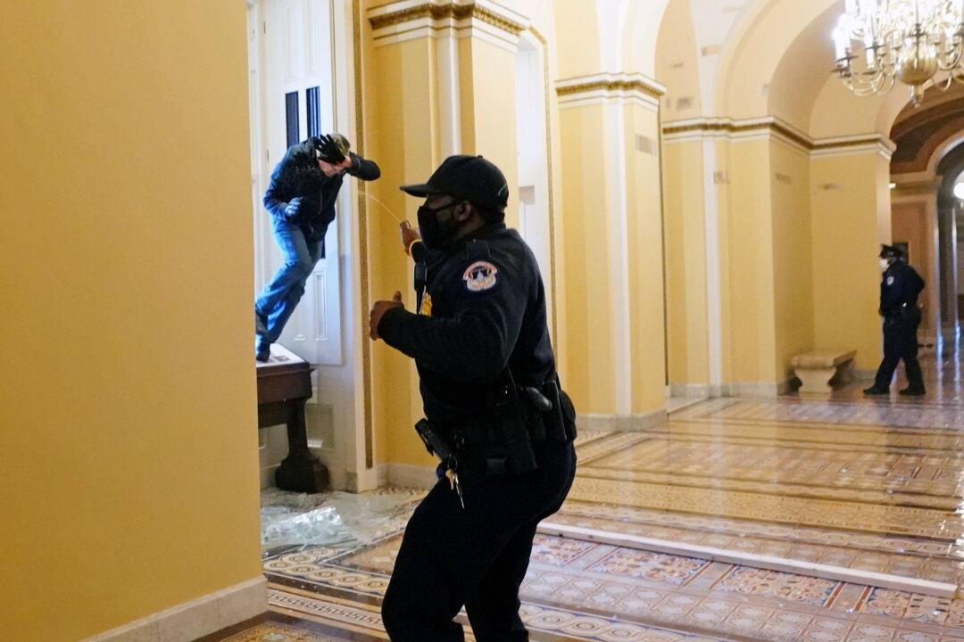 25 Domestic Terrorism Investigations Opened in Connection With US Capitol Breach