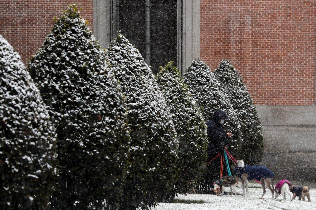 Snowstorm Hits Spain, Madrid Braces For Heaviest Snowfall In Decades