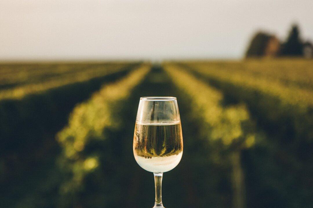 Wine Talk: Big Winners of 2020