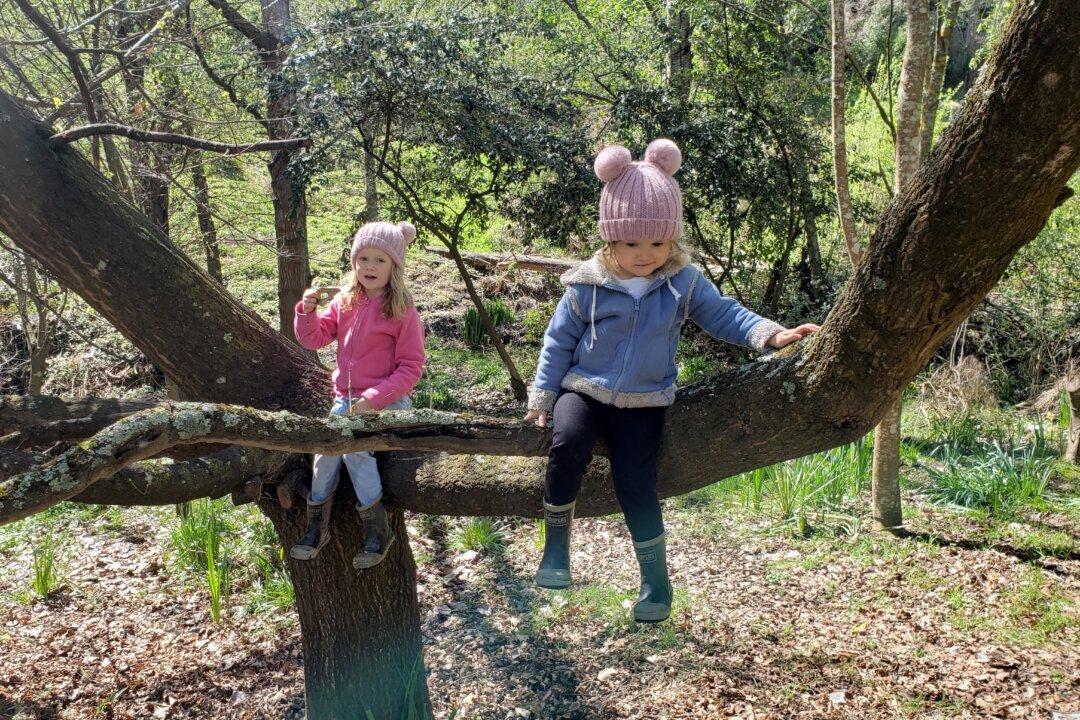 Kiwi Homeschoolers: Life on Their Terms