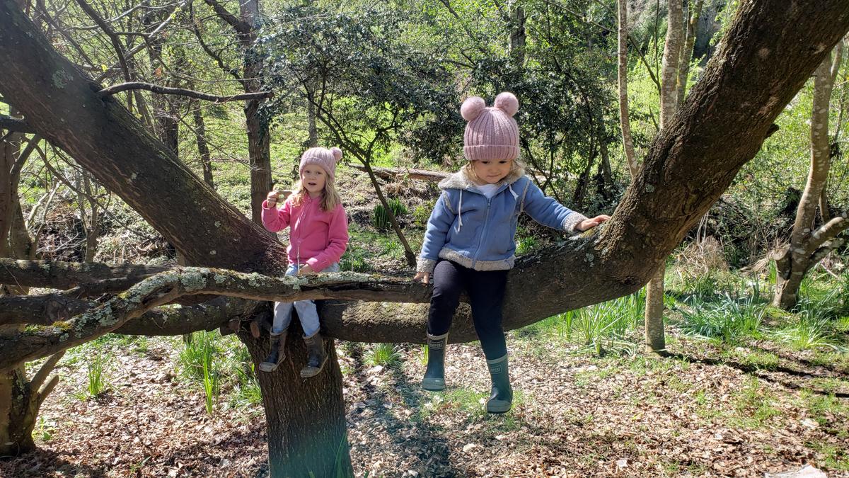 Kiwi Homeschoolers: Life on Their Terms