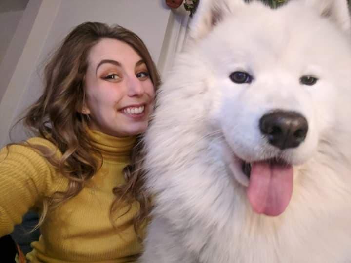 (Courtesy of <a href="https://www.instagram.com/nimbussamoyed/">Nimbus the Pup</a>)