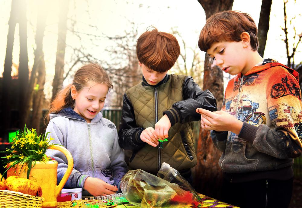 The Neighborhood Stands Between Us and Totalitarianism