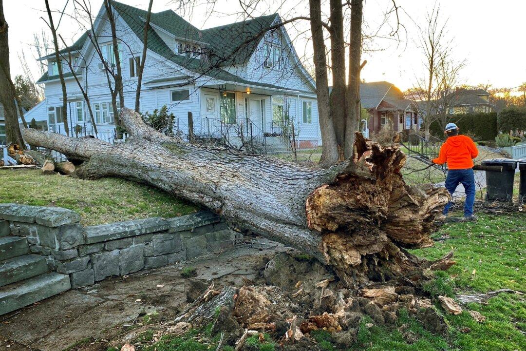 Northwest Storm Kills 1, Causes Landslide And Power Outages