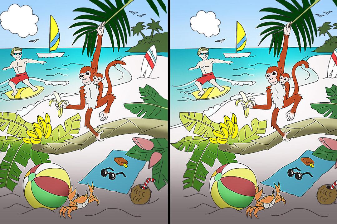Can You Spot 10 Differences in This Balmy Tropical Beach Scene? (Yes, We Want to Go, Too)
