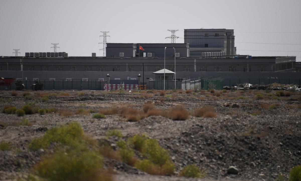 UK Government Faces Scrutiny on Uyghur Policy Ahead of Crunch Vote