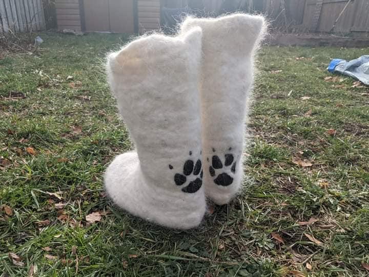(Courtesy of <a href="https://www.instagram.com/nimbussamoyed/">Nimbus the Pup</a>)