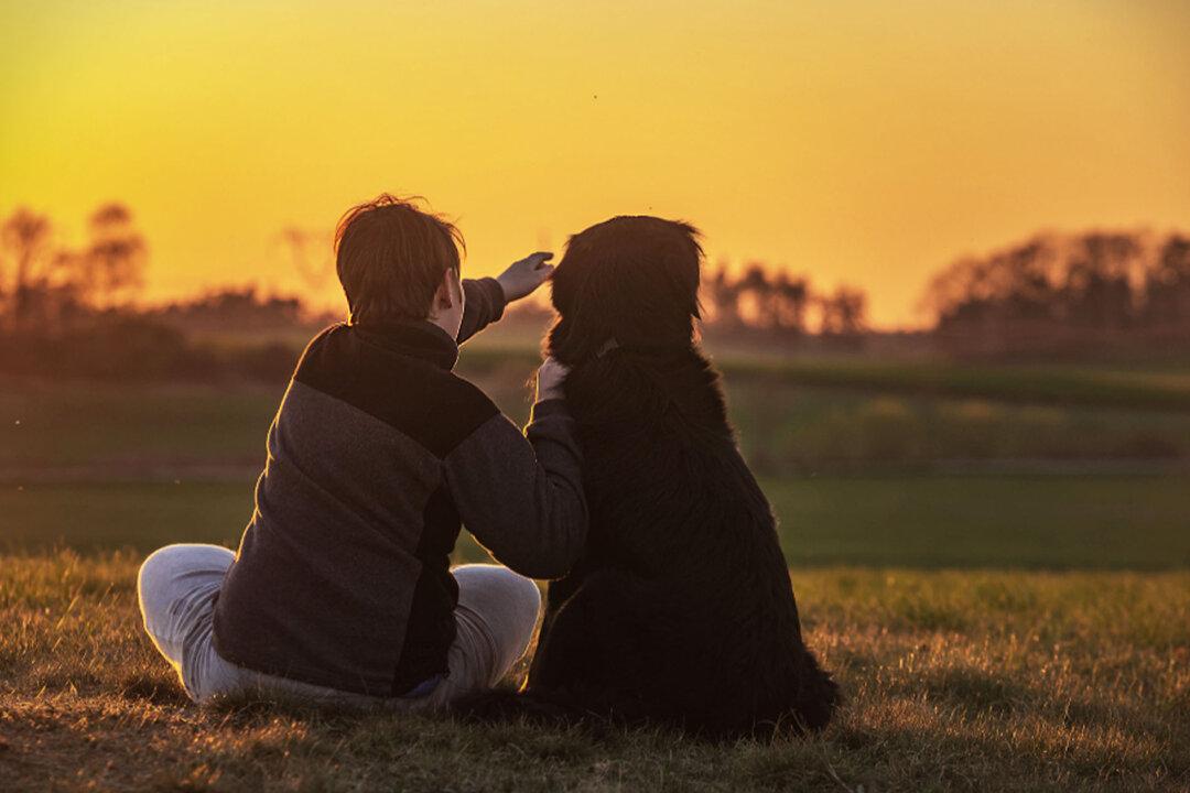 Family’s 2 Dogs Wake 10-Year-Old Boy During Housefire, but Perish After Saving His Life