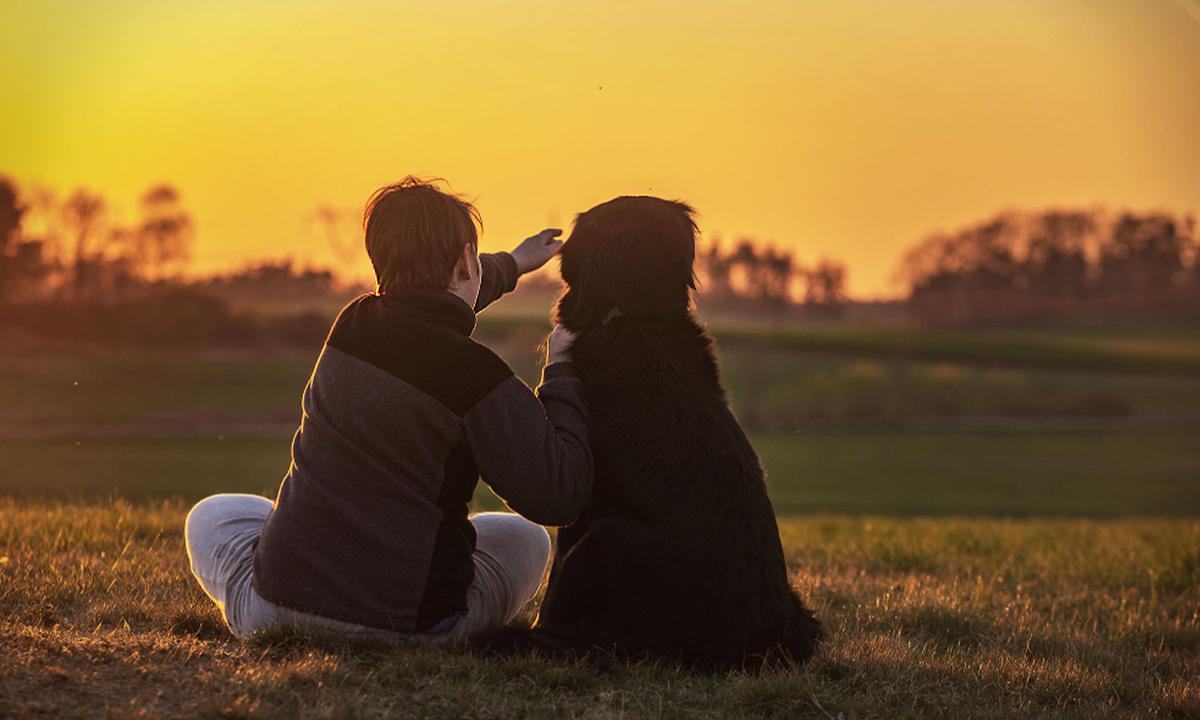 Family’s 2 Dogs Wake 10-Year-Old Boy During Housefire, but Perish After Saving His Life