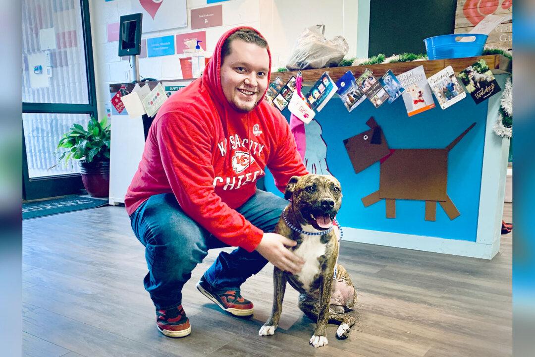 Pet Owner Lost His Beloved 3-Legged Dog, Then Spots Her on Adoption Site 10 Months Later