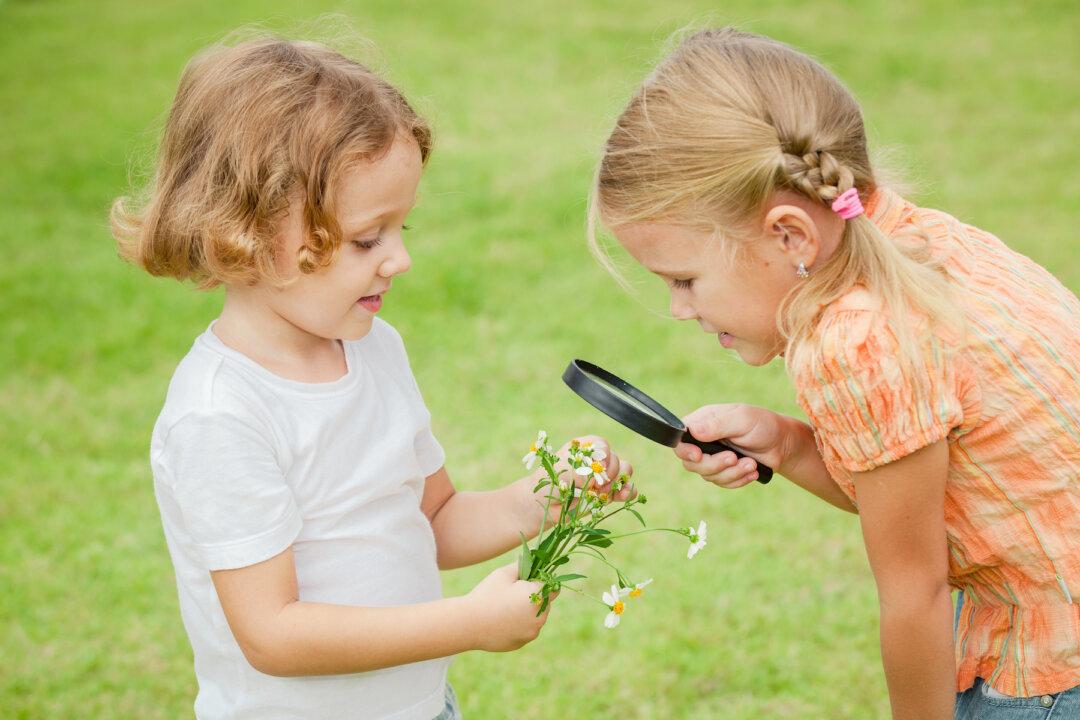 The Homeschooling Experiment: Tips for Parents