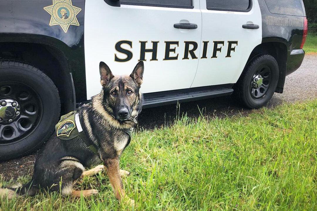 K9 Officer Who Suffered 2 Gunshot Wounds Chasing Armed Suspect Returns Home
