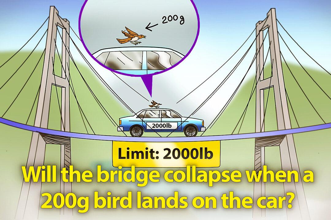 Would a 20-Mile Bridge With 2,000lb Limit Collapse if a Bird Landed on a 2,000lb Car Halfway Across?